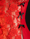 Lingerie Rouge Échancrée